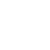 image showing fundraising profit information for sacred heart school colour run